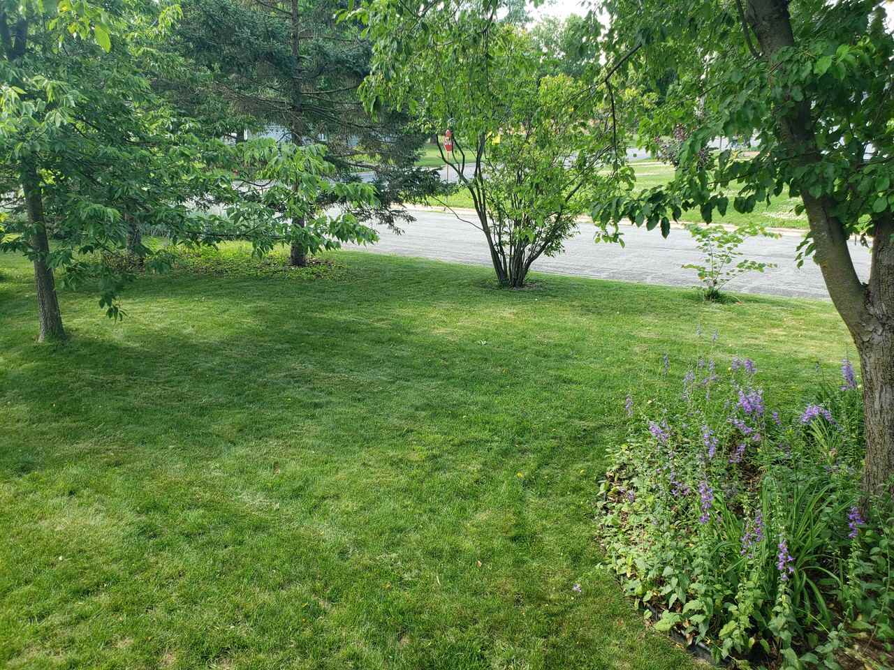 5200 Schofield St #5200 - Photo 3 of 20