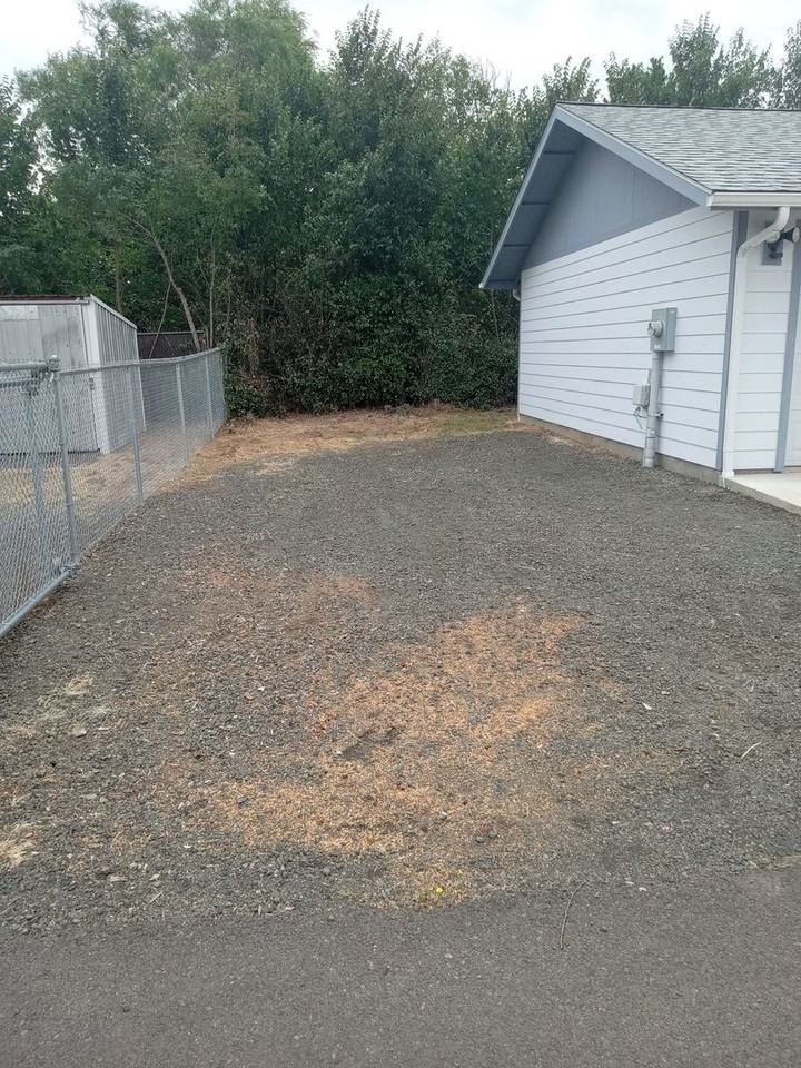 1424 Gleason Ave - Photo 4 of 34