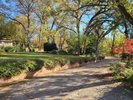 featured image of 419 Greenwood Dr