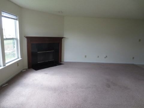 6805 Everbloom Ln - Photo 3 of 10