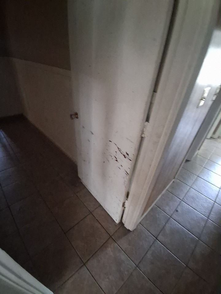 1955 Marshall Pl #1 - Photo 6 of 28