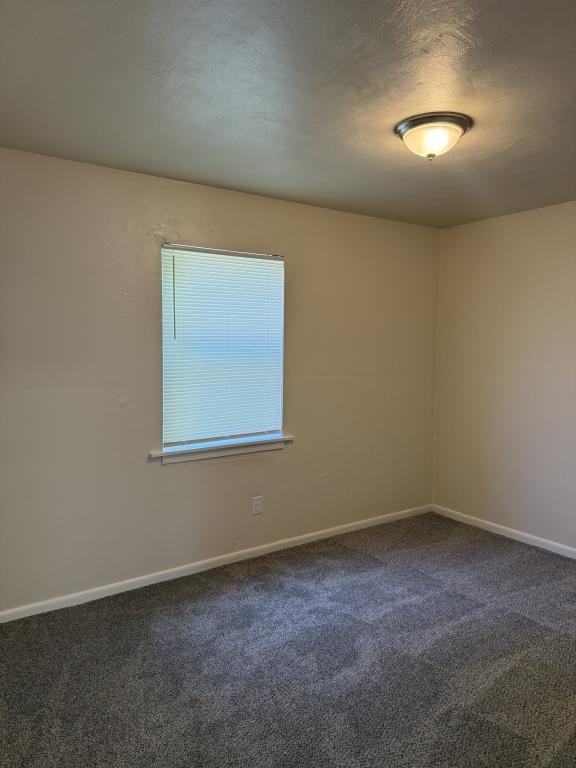 1200 Rugby St - Photo 6 of 6