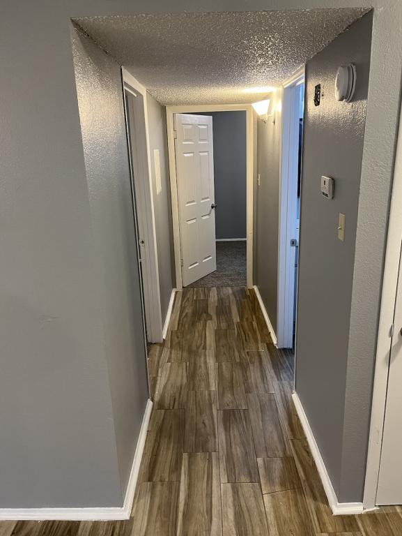 100 Lc Martin Dr - Photo 6 of 11