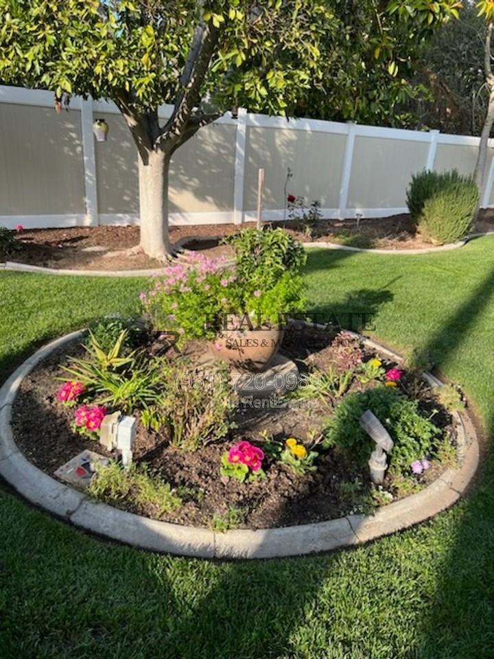 1163 Via Vista Dr - Photo 5 of 50
