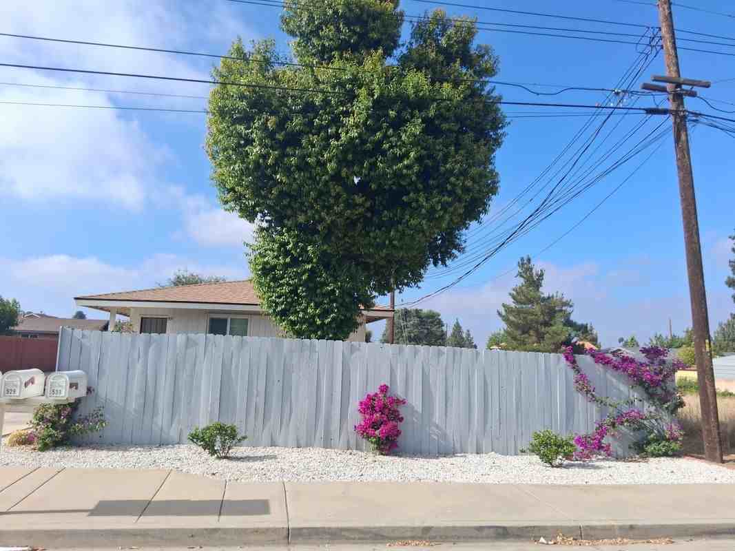 531 Erwin St - Photo 2 of 7