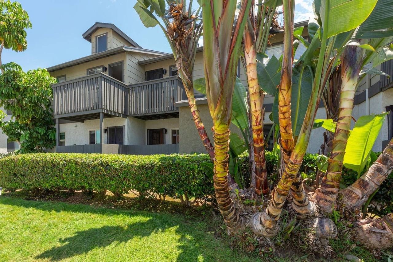 Elan Cypress Cove - Photo 4 of 27