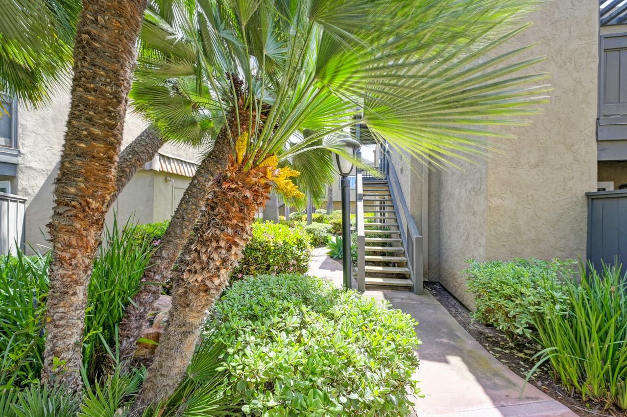 Elan Coast Village - Photo 7 of 20