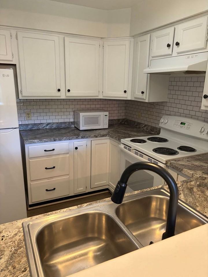 124 Governor Berkeley Rd - Photo 2 of 10