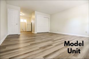 South Lime Studios. LLC - Photo 1 of 1