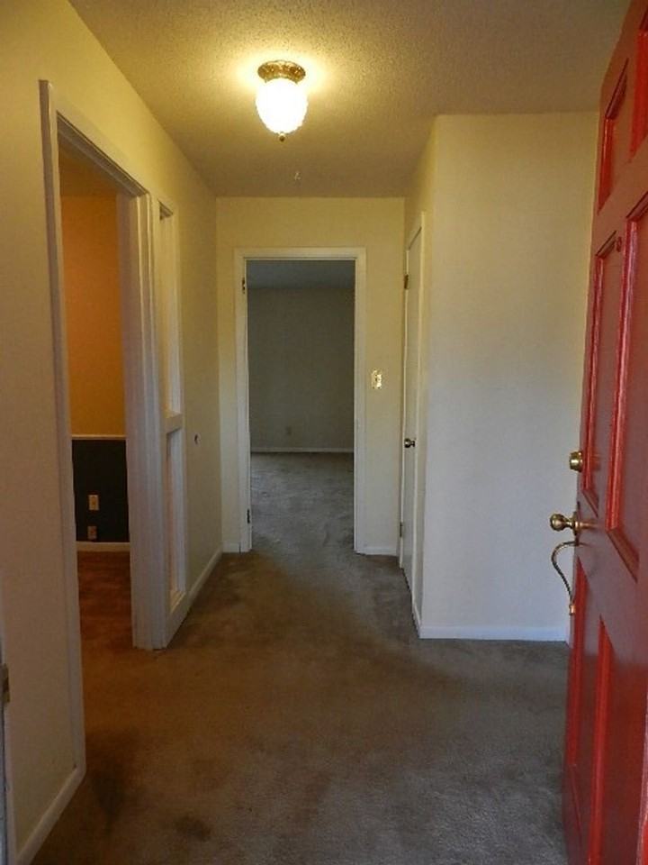 4317 Oak Ridge Bnd - Photo 3 of 4
