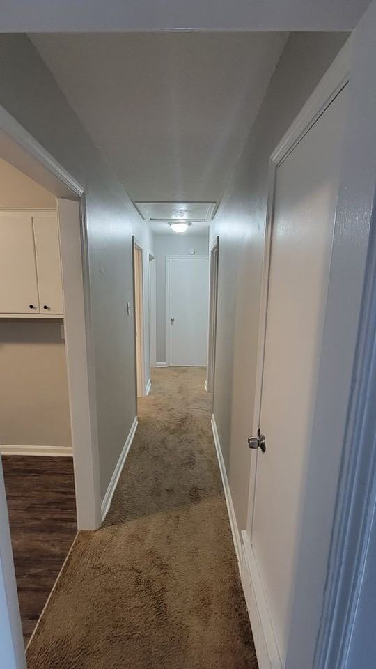 5203 Black Diamond Cv - Photo 3 of 43