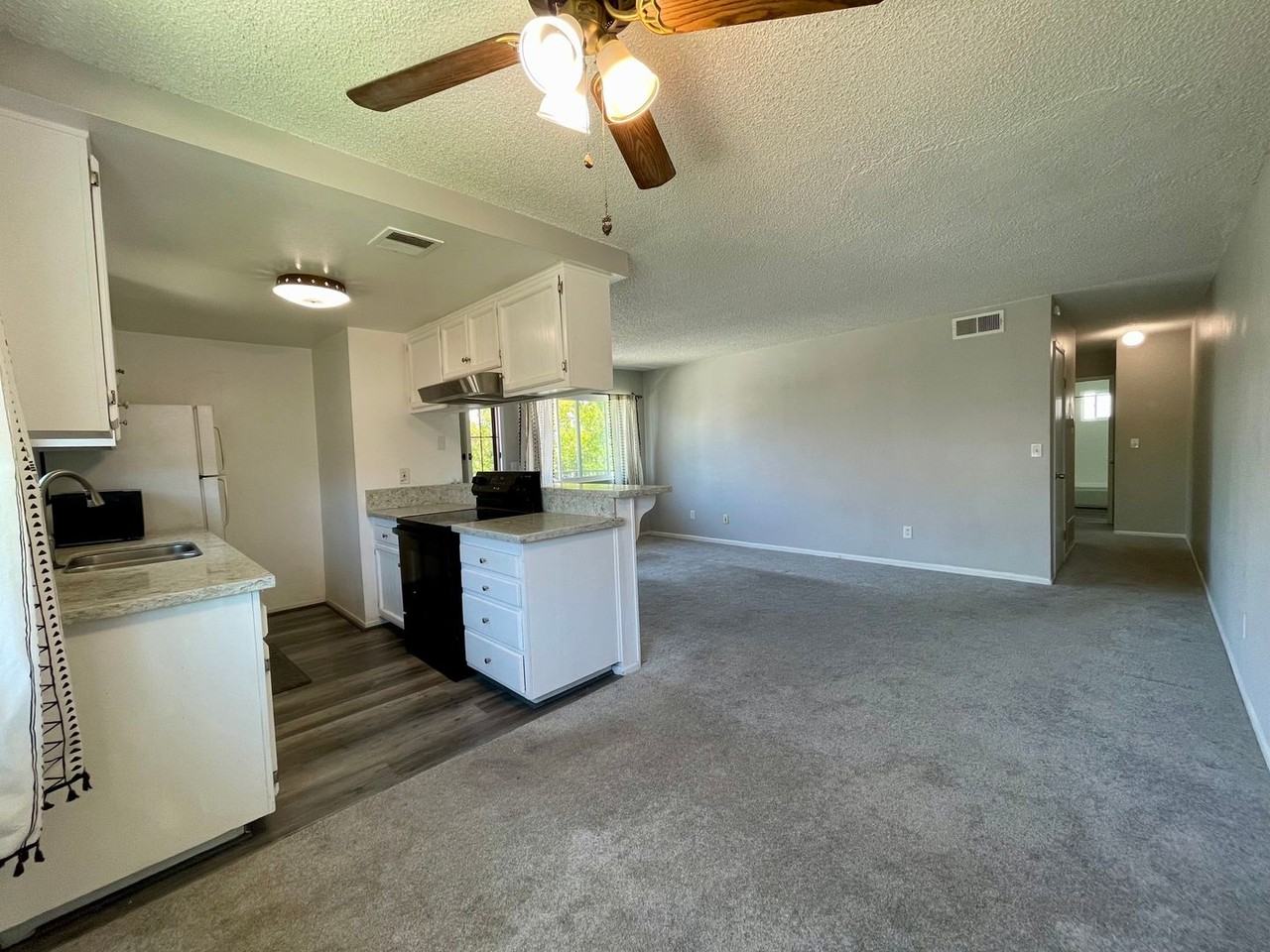 9858 Mission Vega Rd #4 - Photo 3 of 13