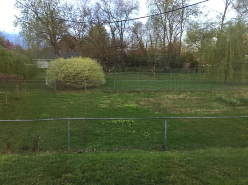 517 Spanish Ct - Photo 5 of 11