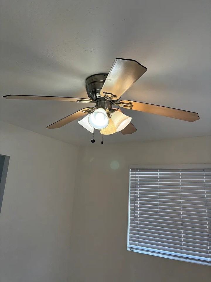 3676 Euclid Ave - Photo 4 of 16