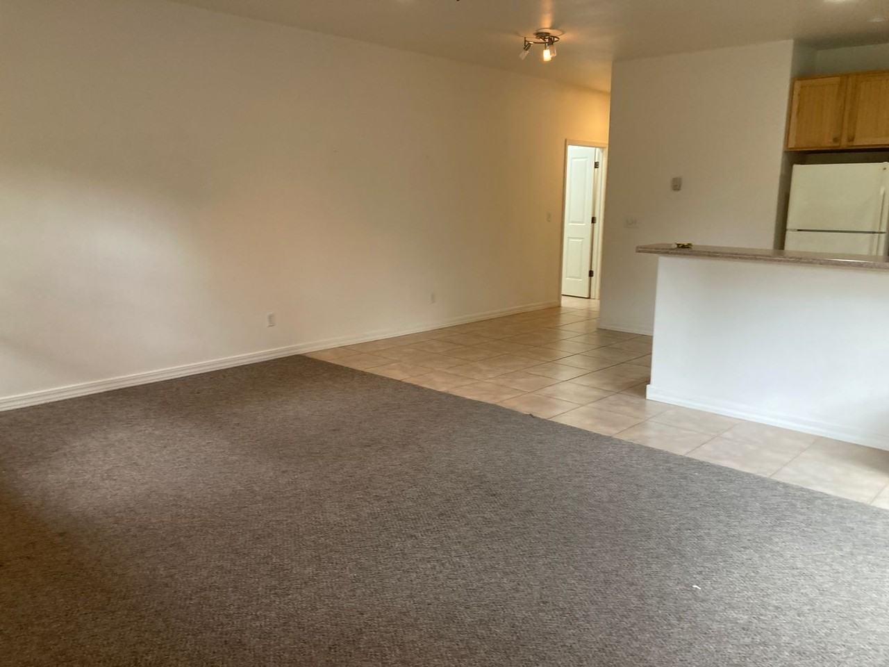 26 E Animas Village Ln - Photo 7 of 31
