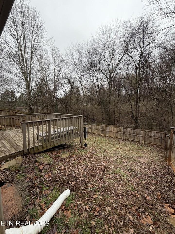 1615 Joe Hinton Rd - Photo 5 of 14