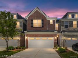 featured image of 24869 Ivy