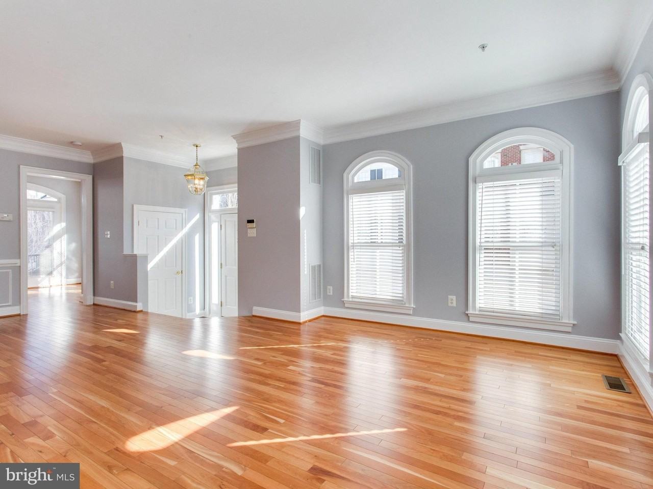 25 Alexander St - Photo 4 of 50