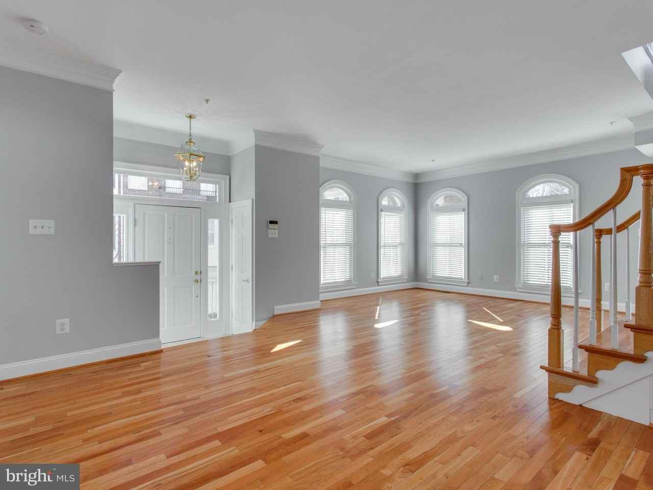 25 Alexander St - Photo 5 of 50