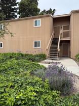 300 Glenwood Cir #290 - Photo 1 of 1