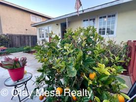 135 Elkwood Ave - Photo 1 of 1