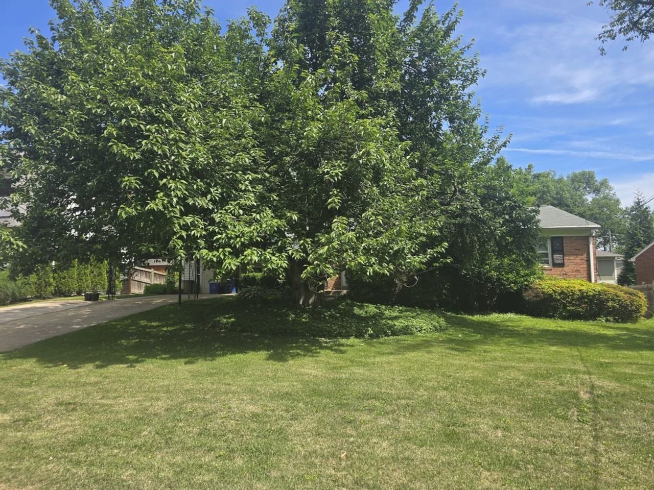6403 Orchid Dr - Photo 2 of 19