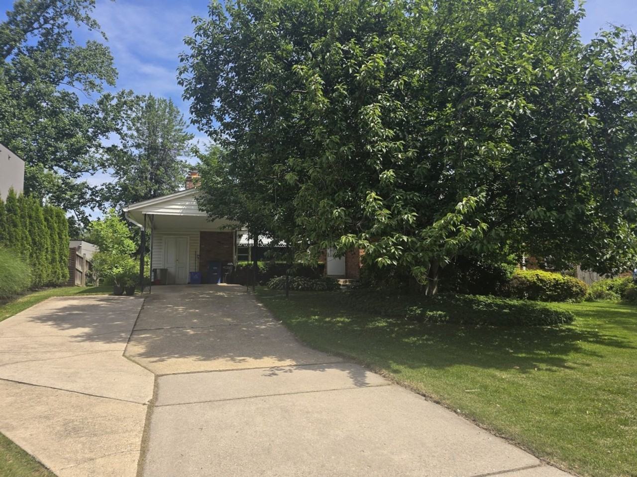 6403 Orchid Dr - Photo 3 of 19