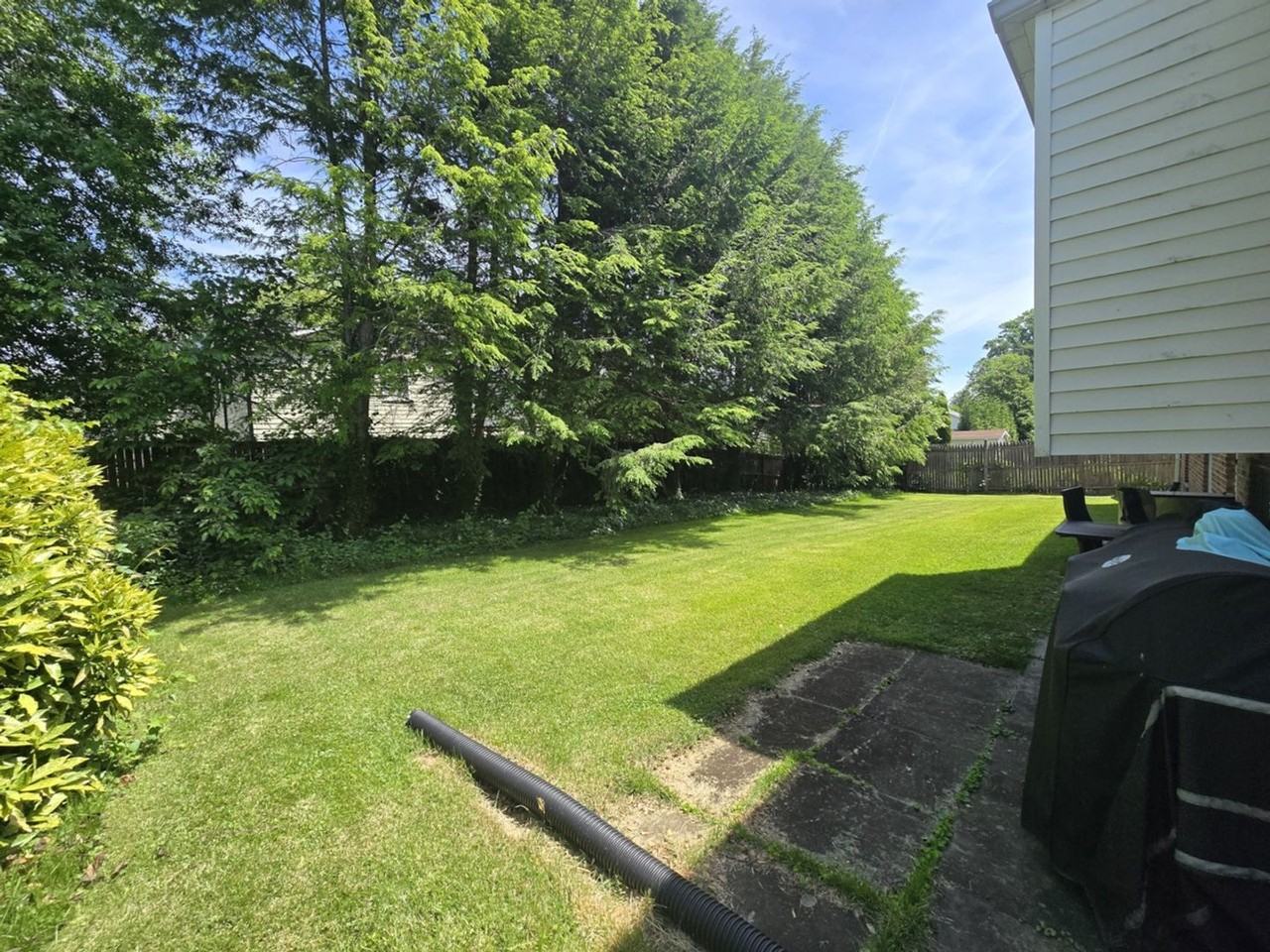 6403 Orchid Dr - Photo 4 of 19
