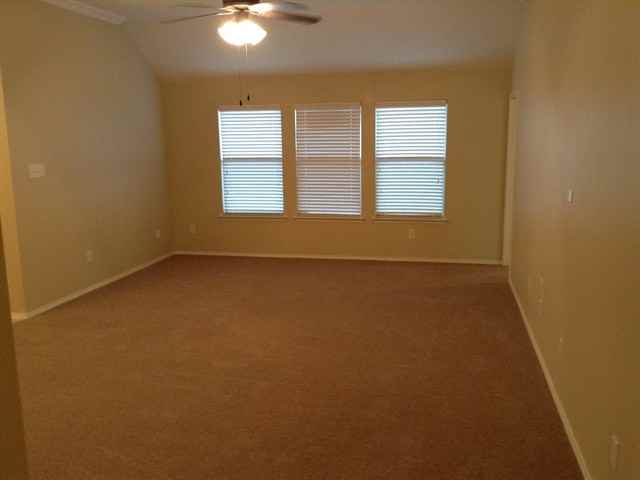 803 Fireberry Dr - Photo 3 of 11