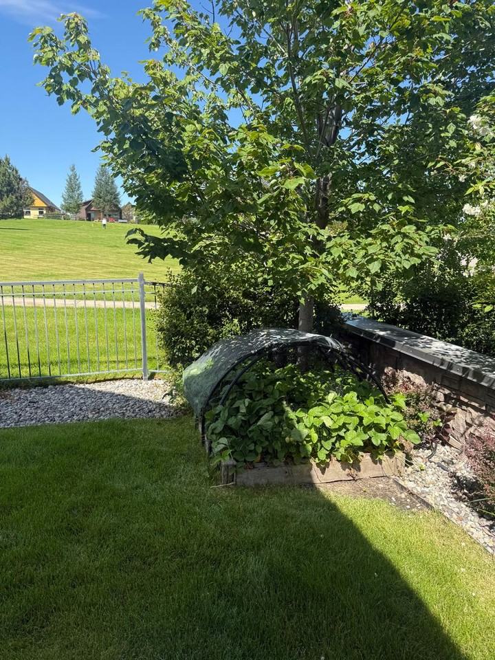972 Knolls Dr - Photo 4 of 29