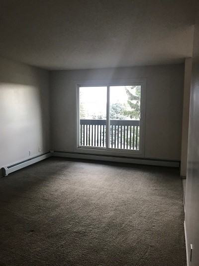 5611 10 Ave - Photo 5 of 14