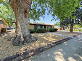 1033 Grant St #1 - Photo 1 of 1