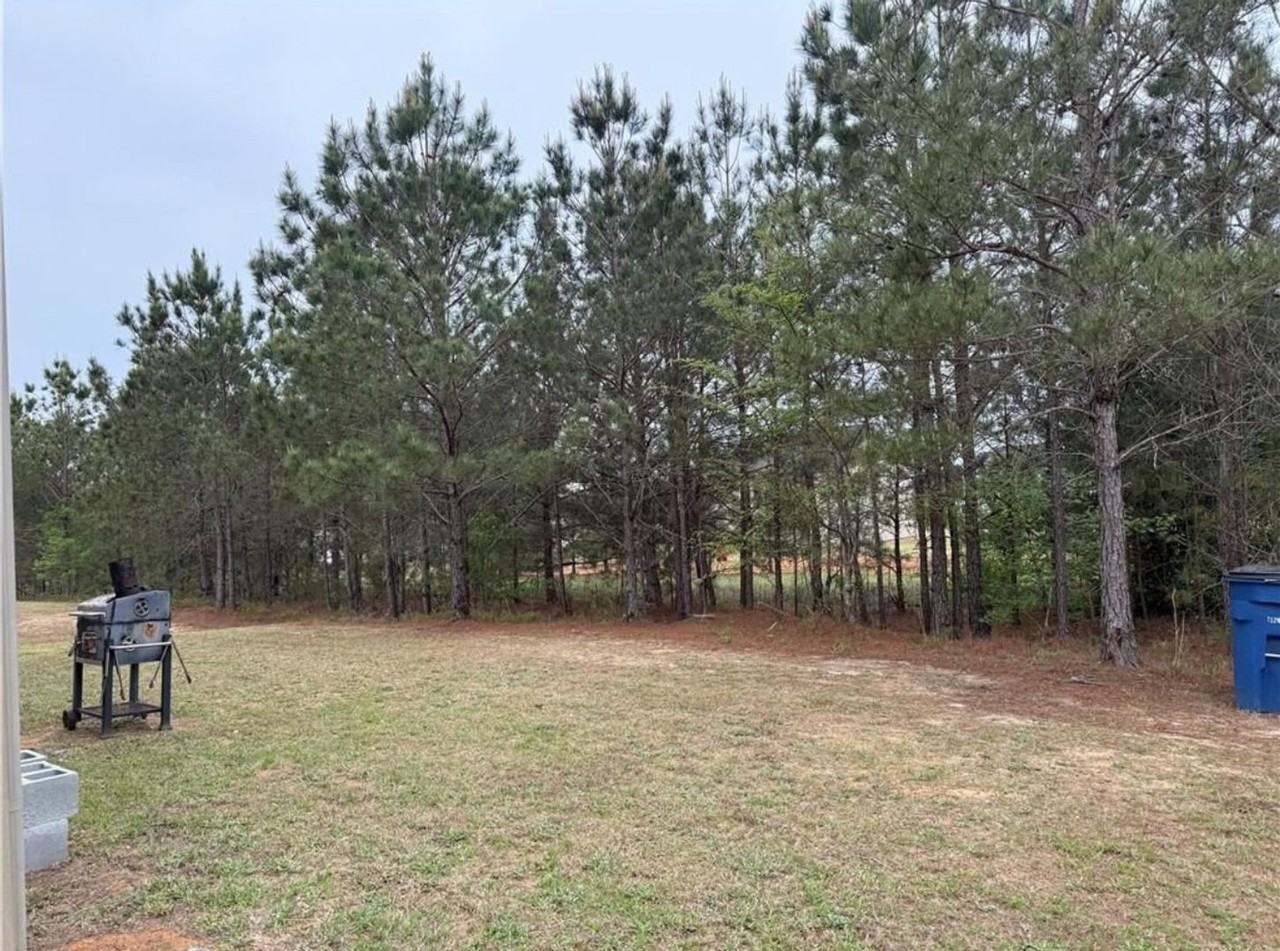 178 Goodall Woods Dr - Photo 4 of 50
