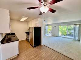 featured image of 430 Alameda Del Prado #430N
