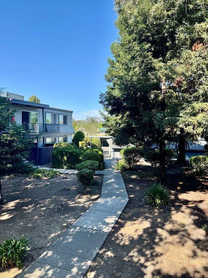 430 Alameda Del Prado #430N - Photo 4 of 15