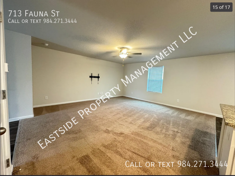 713 Fauna St - Photo 6 of 17