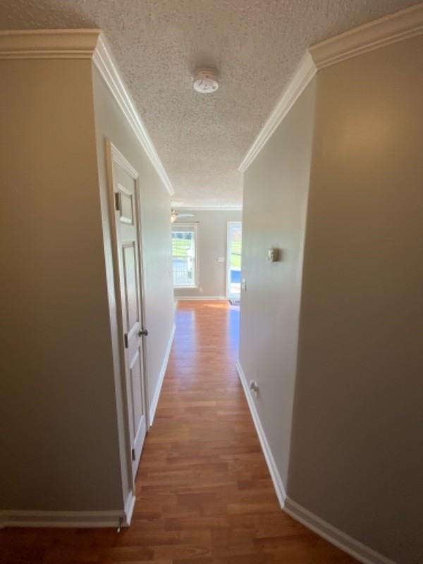 7213 Bethshears Rd - Photo 5 of 15