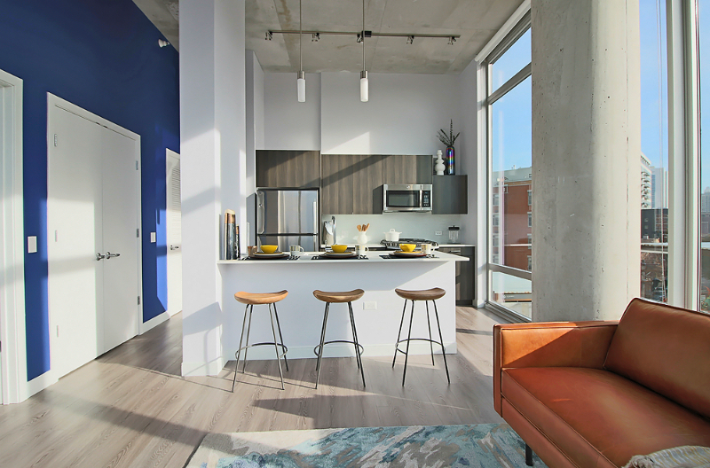 729 N Milwaukee Ave - Photo 3 of 16