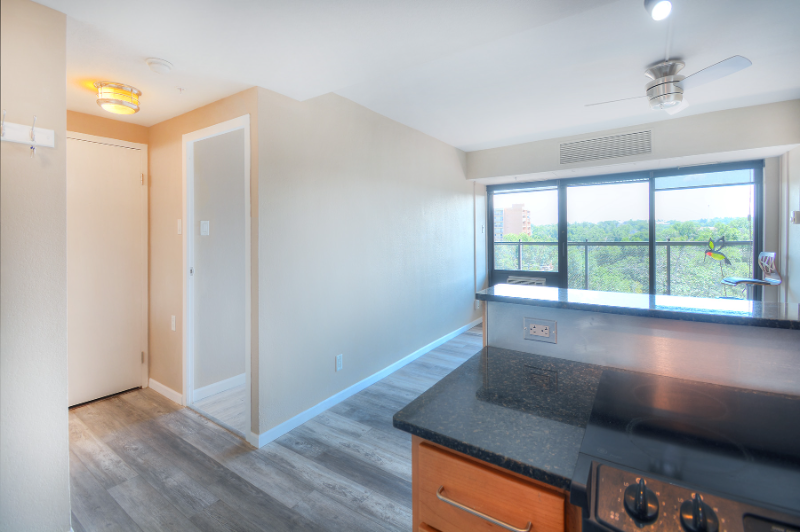 417 E Kiowa St #707 - Photo 4 of 14