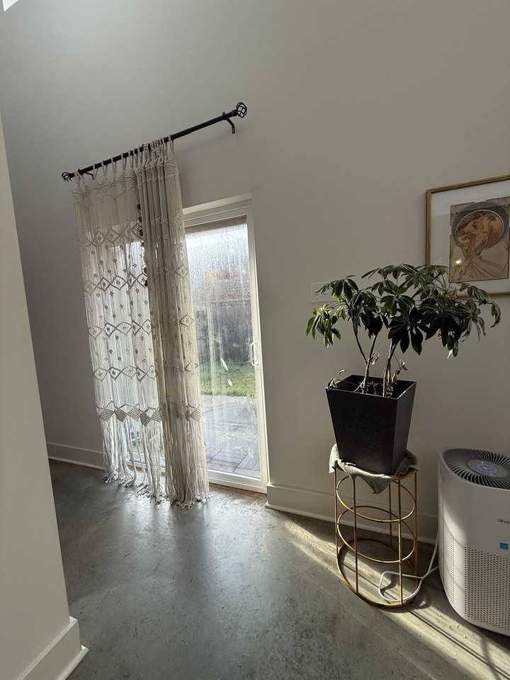 507 Highland Park Ln - Photo 4 of 13