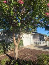 1214 Bennett Way - Photo 1 of 1