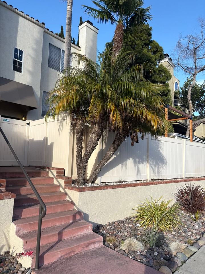2914 Luciernaga St #B - Photo 5 of 15