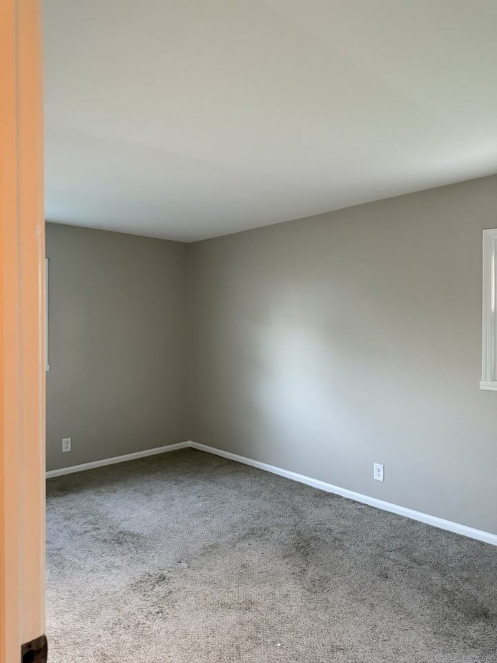 917 Park St #917 - Photo 5 of 10