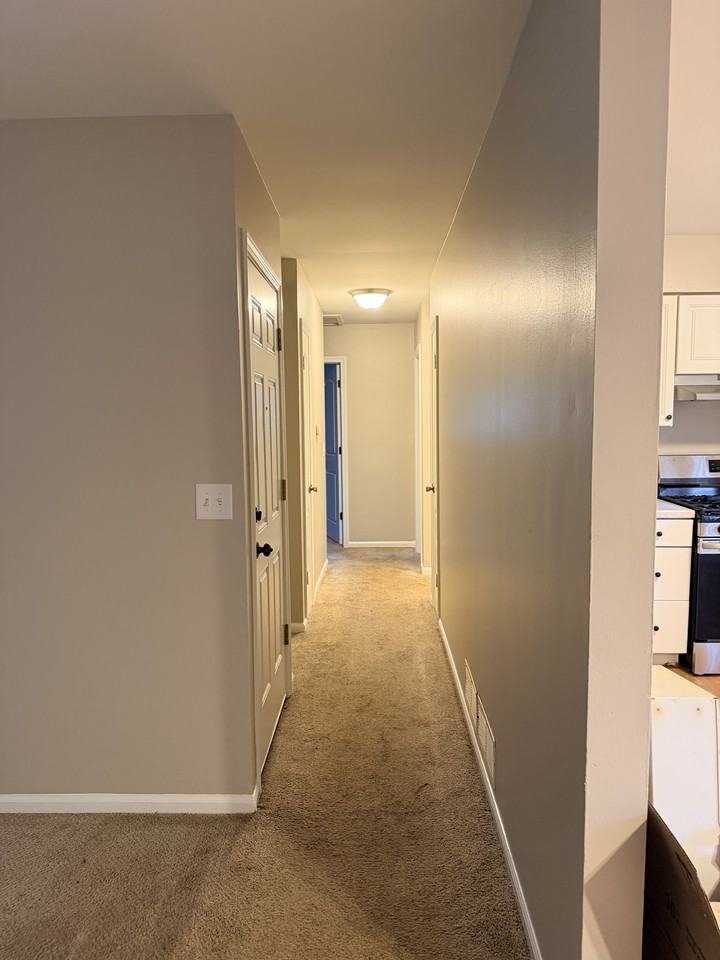 917 Park St #917 - Photo 6 of 10