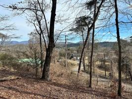 featured image of 236 Logan Cir