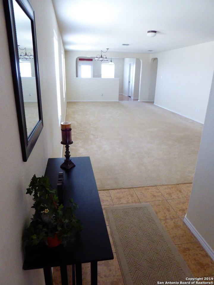 3918 Texas Hawthorn - Photo 2 of 16
