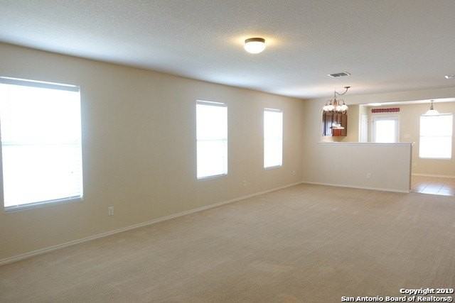 3918 Texas Hawthorn - Photo 4 of 16