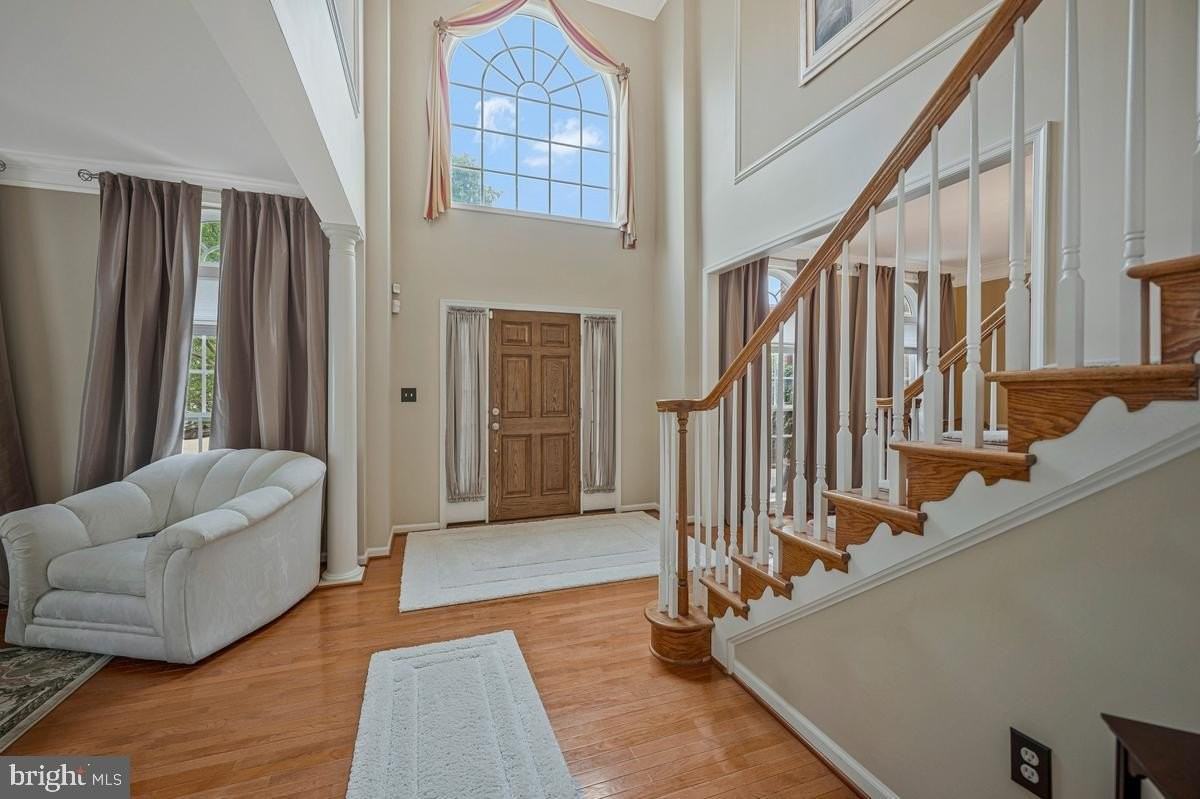 1117 Horizon View Pl - Photo 4 of 50