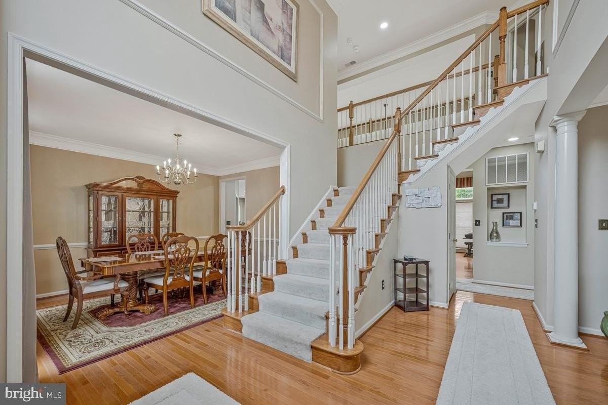1117 Horizon View Pl - Photo 5 of 50