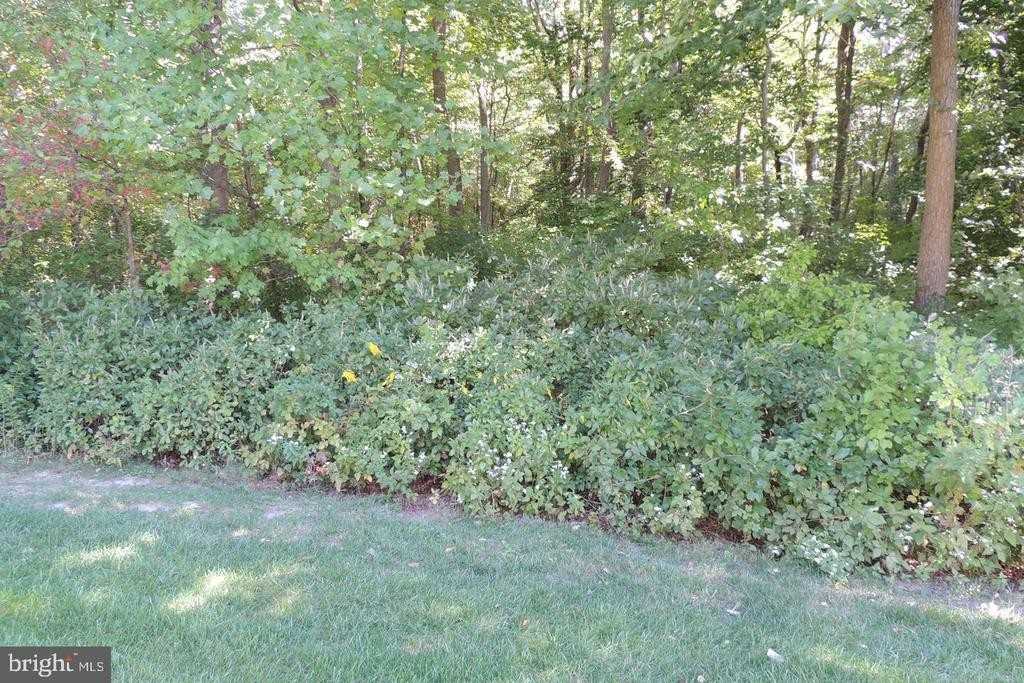 121 Chancellor Dr - Photo 6 of 20